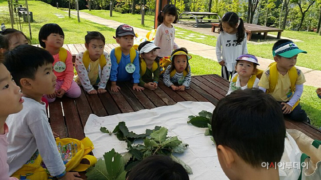 유아 산림교육프로그램 국가인증