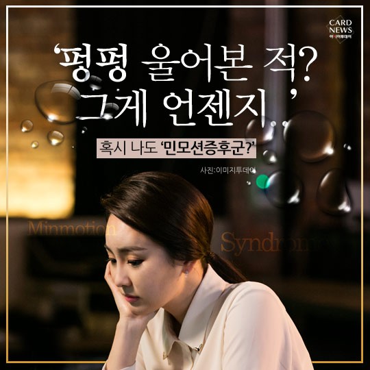 카드 뉴스 이미지