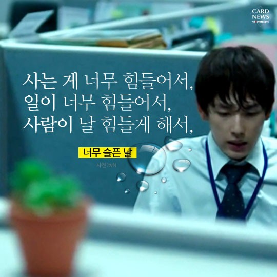 카드 뉴스 이미지