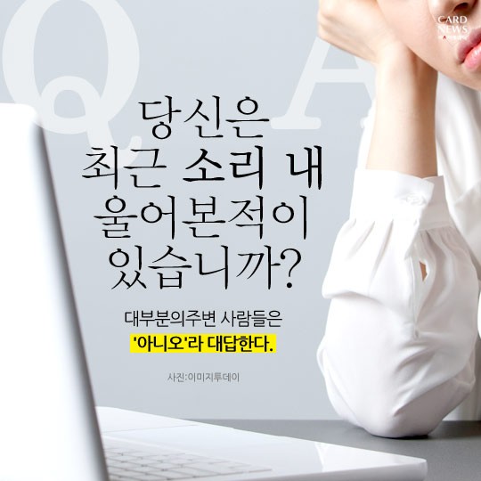 카드 뉴스 이미지
