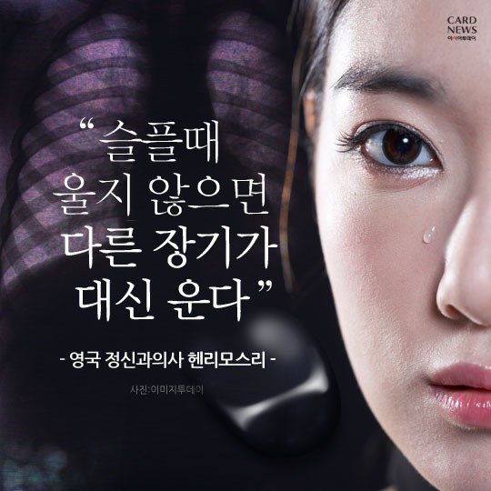카드 뉴스 이미지