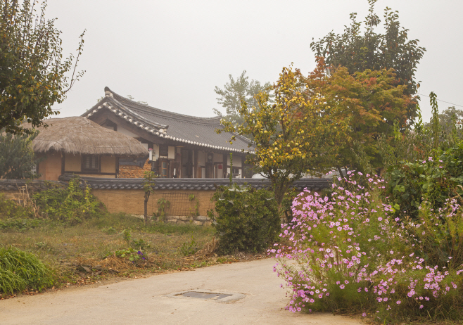세계유산 안동 하회마을 가을