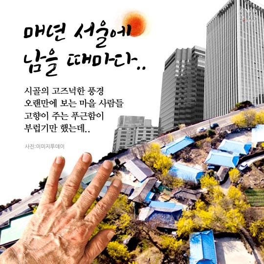 카드 뉴스 이미지