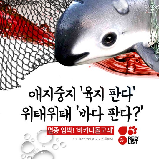 카드 뉴스 이미지