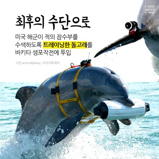 카드 뉴스 이미지