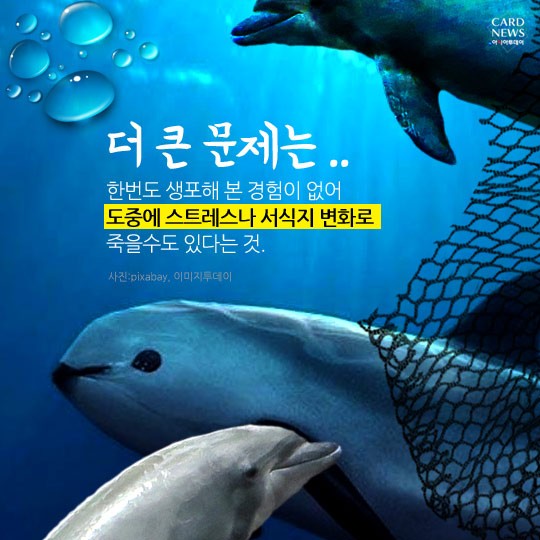 카드 뉴스 이미지