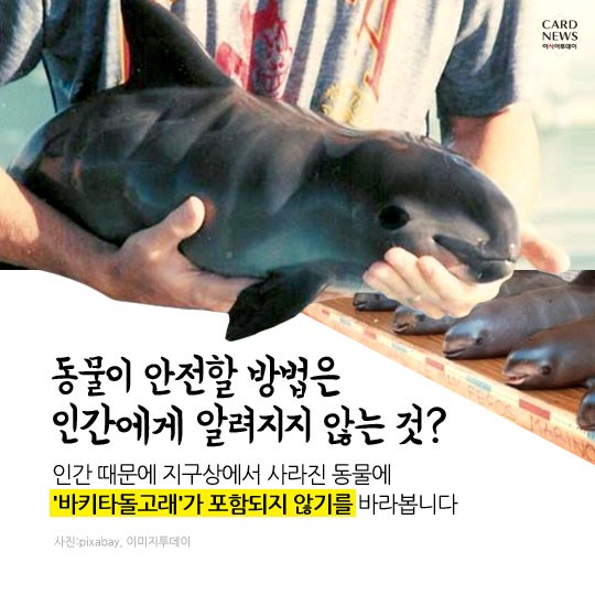 카드 뉴스 이미지