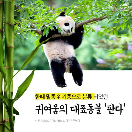 카드 뉴스 이미지