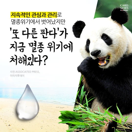 카드 뉴스 이미지