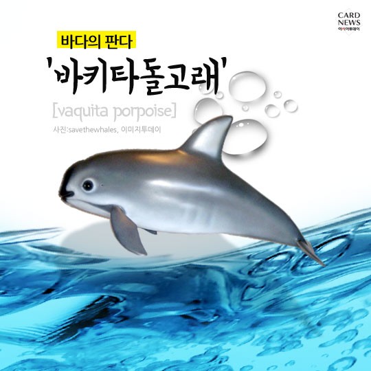 카드 뉴스 이미지