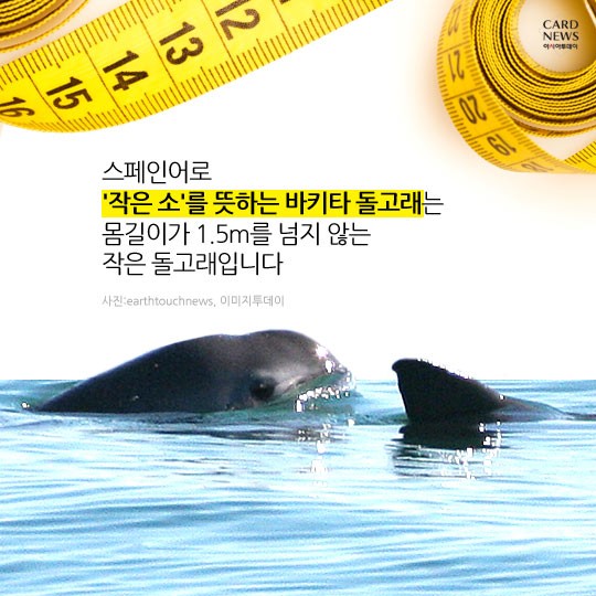 카드 뉴스 이미지