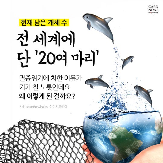 카드 뉴스 이미지