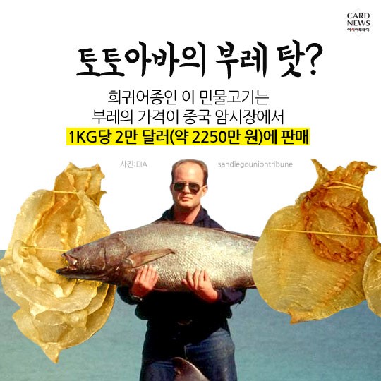 카드 뉴스 이미지