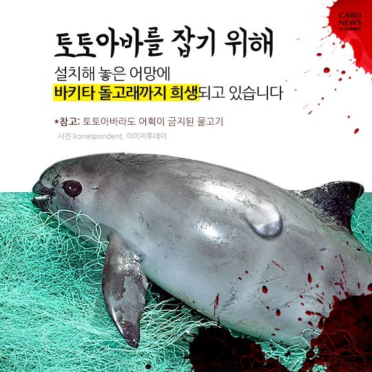 카드 뉴스 이미지
