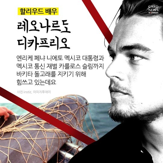 카드 뉴스 이미지