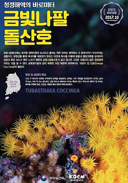 제목 없음