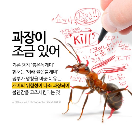 카드 뉴스 이미지