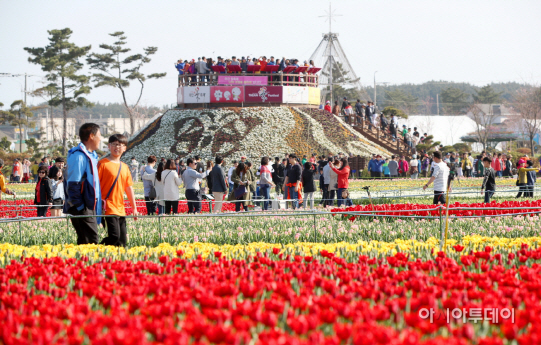 태안 튤립축제