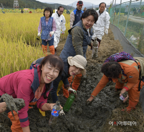 도시소비자