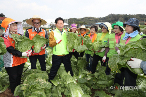 사진3. 범농협 수확철 일손돕기
