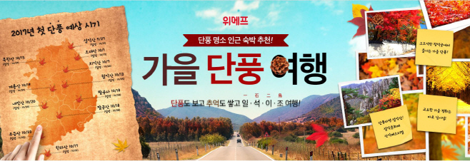 가을단풍여행 기획전