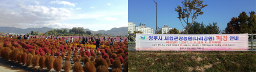 전국적인 관심과 100만이 넘는 구름 관람객이 다녀간 나리공원(
