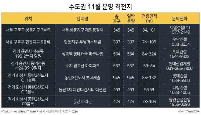 분양