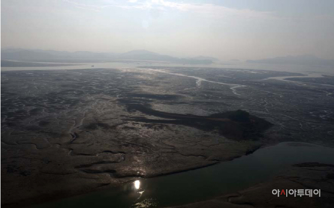 전남 신안 갯벌