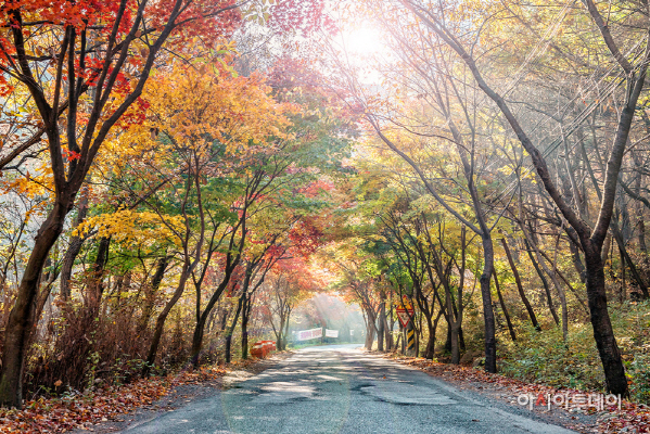 서산 용현계곡 아라메길 단풍