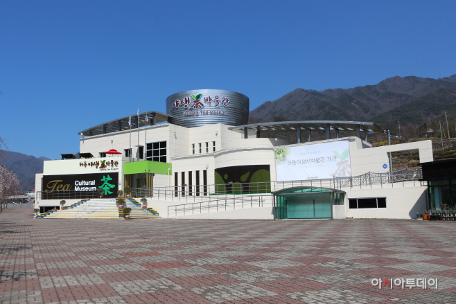 야생차박물관 (1)