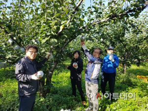 농가 배 수확