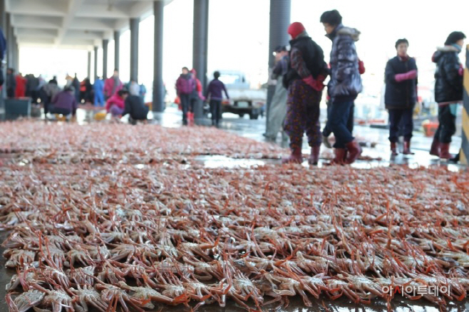 울진_죽변항_004