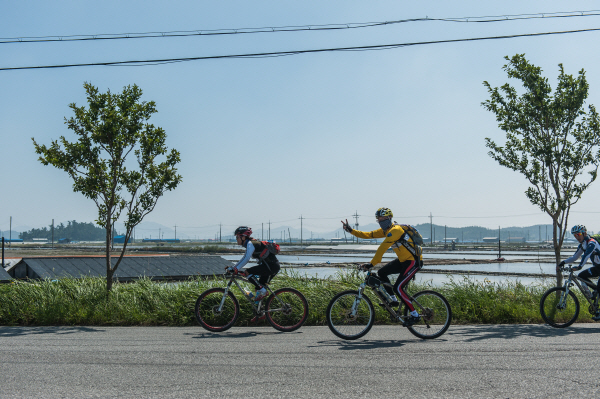 신안 ‘천도천색 천리길’ 총연장 500km 확대 개편