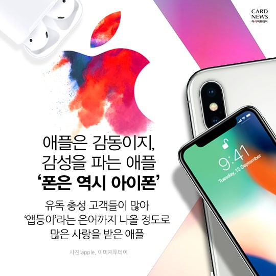 카드 뉴스 이미지