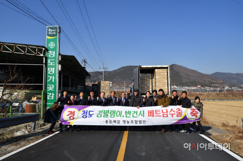 베트남감말랭이수출