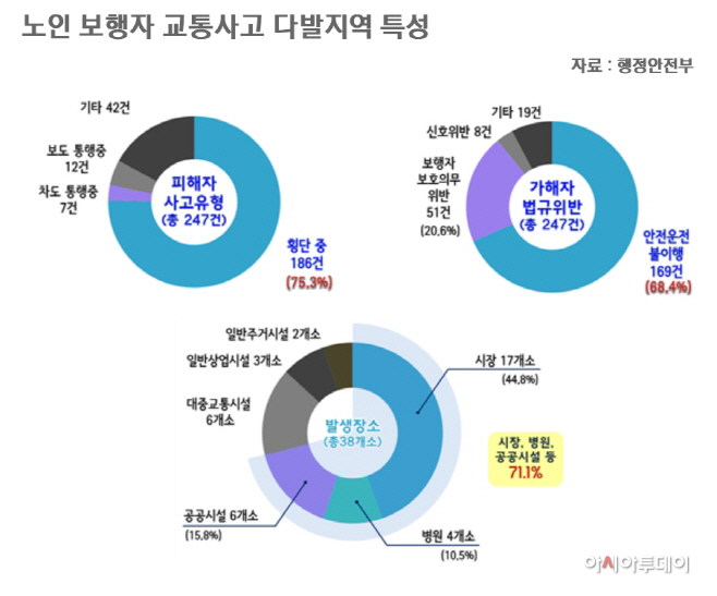 노인 보행자 교통사고