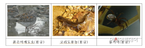 캡처