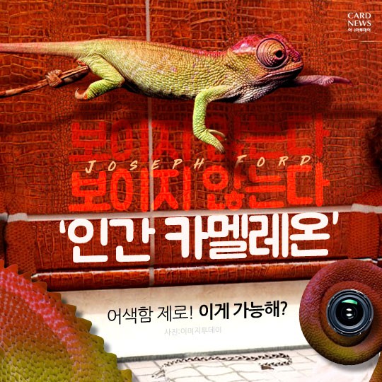 카드 뉴스 이미지