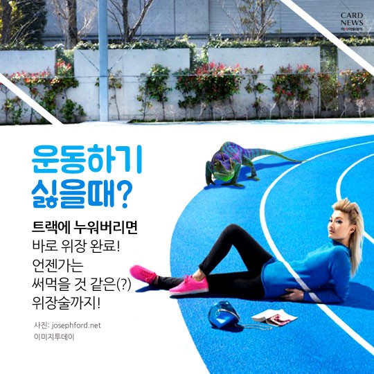 카드 뉴스 이미지