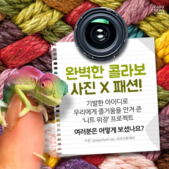 카드 뉴스 이미지