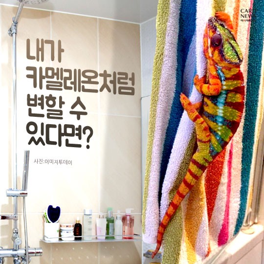 카드 뉴스 이미지