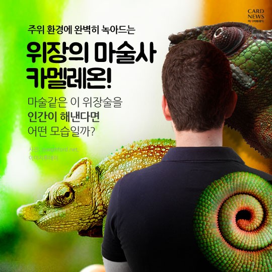 카드 뉴스 이미지