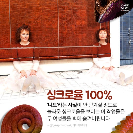 카드 뉴스 이미지