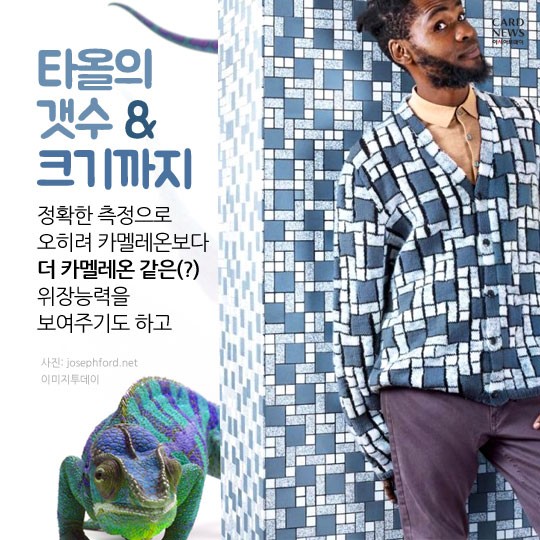카드 뉴스 이미지