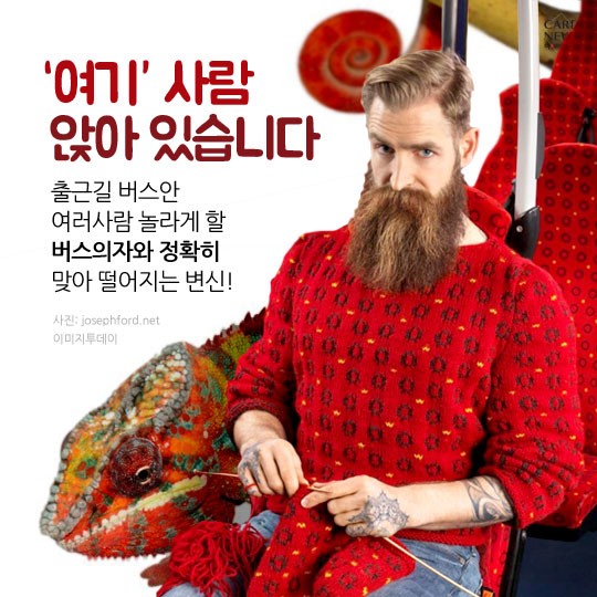 카드 뉴스 이미지
