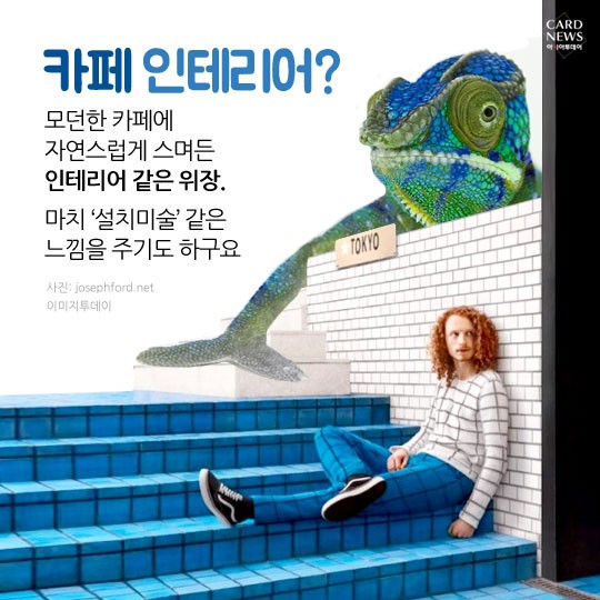 카드 뉴스 이미지
