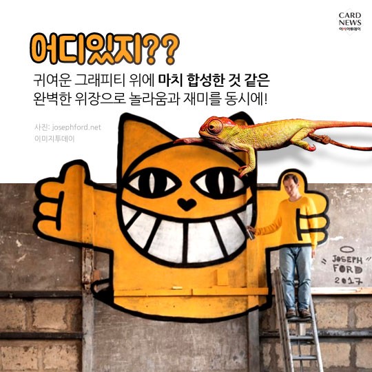 카드 뉴스 이미지