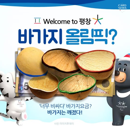 카드 뉴스 이미지