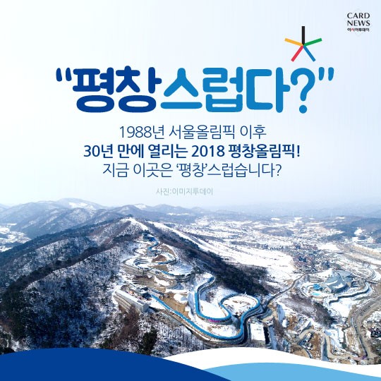 카드 뉴스 이미지