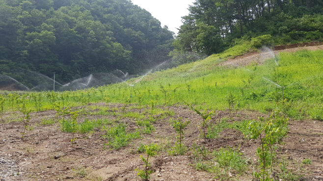 울진군, 소득 작목 관수시설 지원